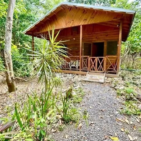 Real Jamaica - 5 Cabins Right Beside The Sea Oracabessa Exterior photo