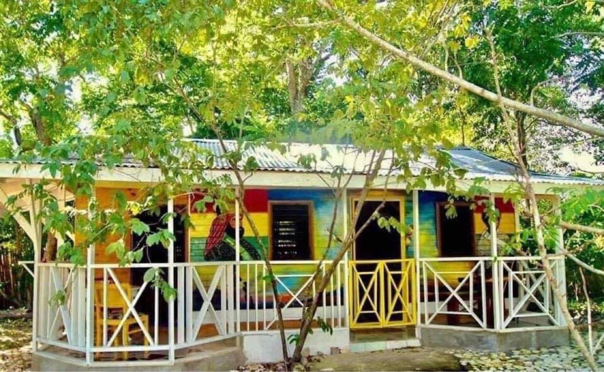 Real Jamaica - 5 Right Beside The Sea Oracabessa